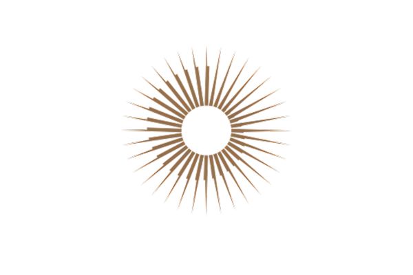 logo Leon van der Zanden