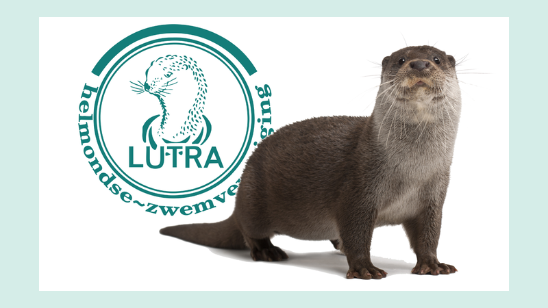 lutra featured